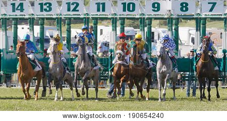STOCKHOLM SWEDEN - JUNE 06 2017: Closeup of the start of the gallop race for arabian race horses and colorful jockeys at Nationaldags Galoppen at Gardet. June 6 2017 in Stockholm Sweden