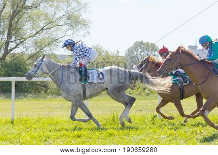 STOCKHOLM SWEDEN - JUNE 06 2017: Low angle photo of tough fight between jockeys riding gallop arabian race horses at Nationaldags Galoppen at Gardet. June 6 2017 in Stockholm Sweden