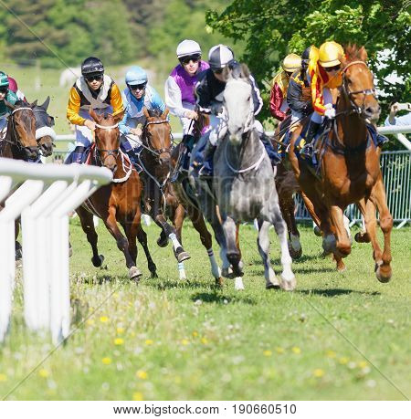 STOCKHOLM SWEDEN - JUNE 06 2017: Coloful jockeys on gallop arabian race horses storming ahead in a curve at Nationaldags Galoppen at Gardet. June 6 2017 in Stockholm Sweden