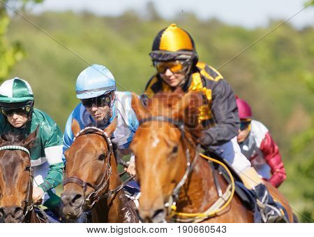 STOCKHOLM SWEDEN - JUNE 06 2017: Closeup of coloful jockeys on gallop arabian race horses storming ahead at Nationaldags Galoppen at Gardet. June 6 2017 in Stockholm Sweden