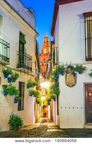 Calleja de las Flores, one of the most popular and tourist streets of Cordoba city near the Great Mosque in Andalusia, Spain