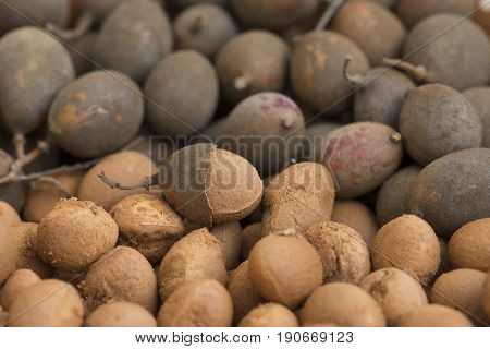 Closeup peeled and whole unpeeled Dialium guianense fruit known also as guapaque or wild tamarind