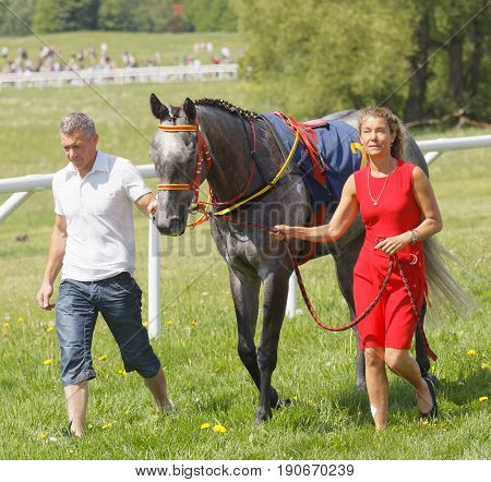 STOCKHOLM SWEDEN - JUNE 06 2017: Man and woman in red dress leading a gallop arabian race horse in the vault at Nationaldags Galoppen at Gardet. June 6 2017 in Stockholm Sweden