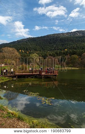 Pier In Golcuk National Park