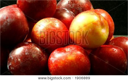 Plum