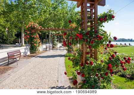 Rose trellis and garden at beach of lake Balaton in Balatonfured Hungary