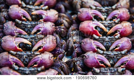 Salted Crab At Thai Street Food Market
