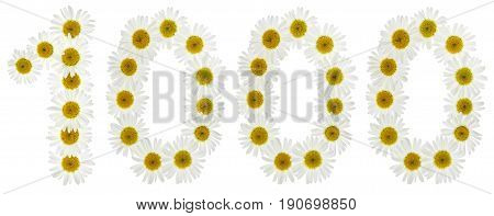 Arabic Numeral 1000, One Thousand, From White Flowers Of Chamomile, Isolated On White Background