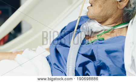Patient Do Tracheostomy And Ventilator In Hospital