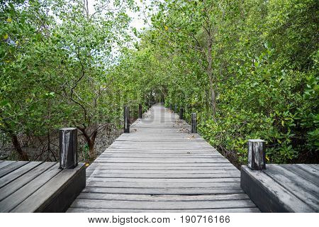 forest, walking, walk, nature, way, road, park, green, path, landscape, wood, couple, woman, family, garden, design, landscaping, child, beautiful, mother, outdoor, happy, summer, baby, country, natural, young, grass, trail, environment, tree, rural, pers