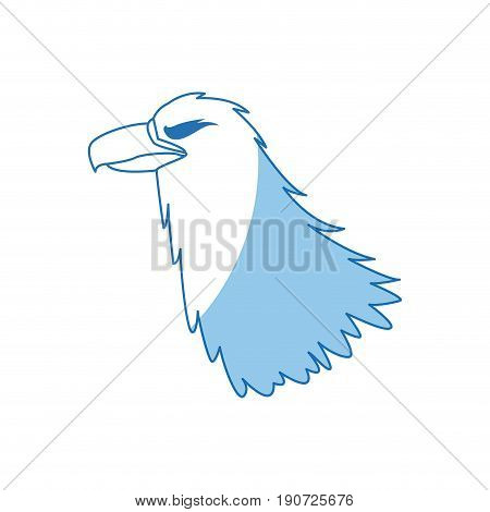 eagle head beak predator feather image vector illustration