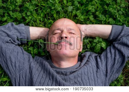 Mature Happy Man Lying On Green Grass. He holds onion leaf in mouth and closes eyes. Resting on nature