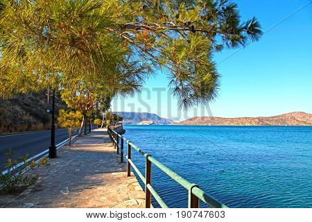 beautiful paved promenade pine tree branch and Mediterranean sea Elounda Mirabello bay Crete Greece. selective focus