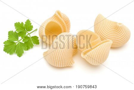 Italian lumaconi isolated on white background. Lumache, snailshell shaped pasta.