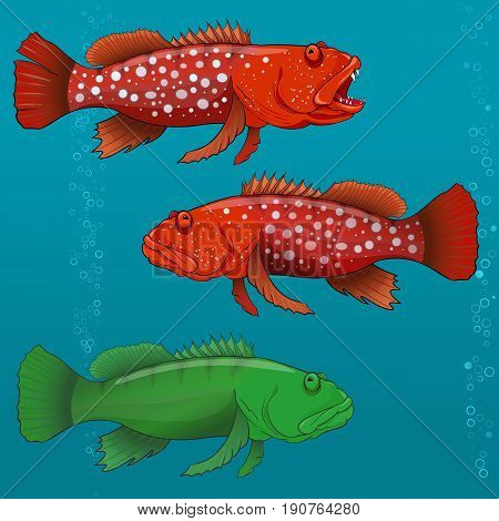 Common Harlequin Fish, cartoon Vector illustration for artwork in small sizes.