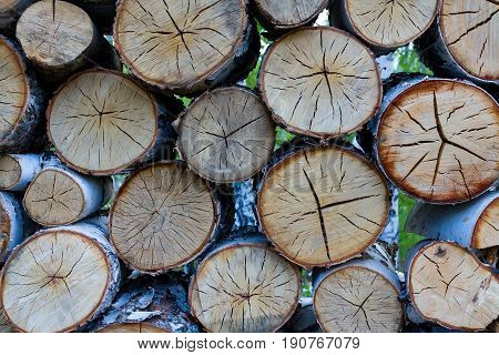 Pile of sawed brown wood of siberian birch