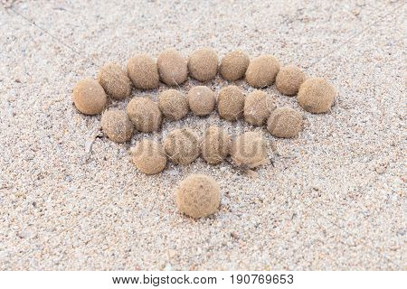 Wifi Sign Created With Dried Algae Ball On Sand Beach