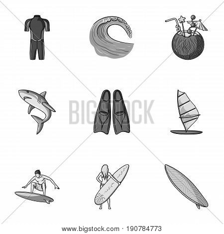 A collection of pictures on the theme of the beach, the sea, surfing. Rescuers of the beach.Surfing icon in set collection on monochrome  vector symbol stock  illustration.