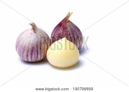 Garlic or Allium ampeloprasum var. ampeloprasum isolated on white background