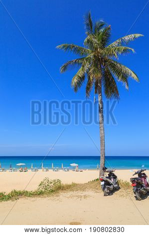 Tropical seascape with palm tree againt blue sky background Phukhet Thailand