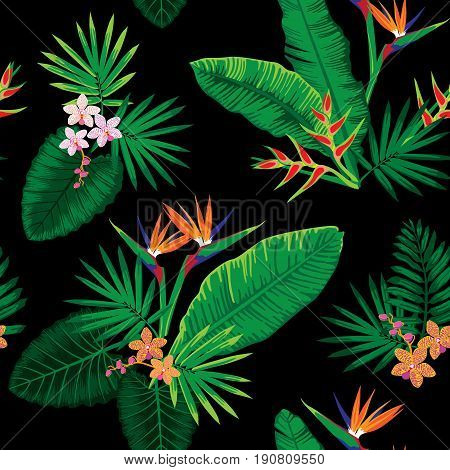Seamless tropical jungle floral pattern with beautiful orchids and strelitzias. Vector illustration.