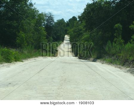 树木繁茂的乡村道路