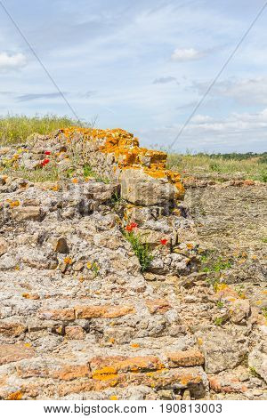 Orange Lichen On Rocks