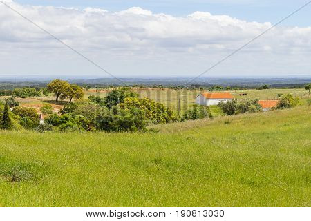 Farm In Santiago Do Cacem