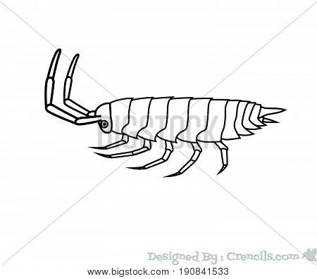 Drawing Art of Woodlouse Insect - Vector Stock Illustration