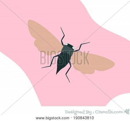 Creepy Cicada Insect Moth Flying Vector Illustration