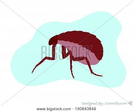 Creepy Floh Insect Animal Vector Illustration Design
