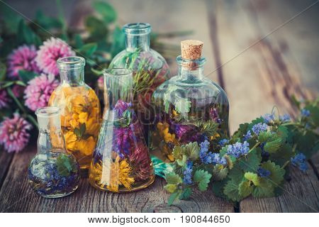 Bottles of tincture or infusion of healthy herbs healing herbs on table. Herbal medicine.