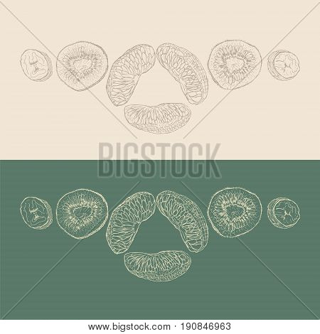 Hand-drawn pieces of orange, banana and kiwi