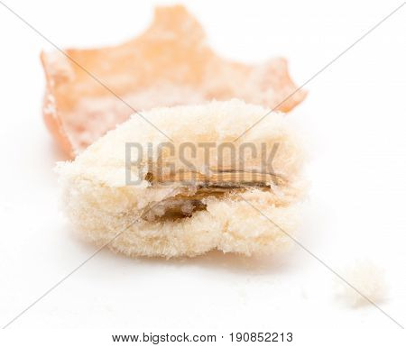 Eleagnus on a white background . A photo