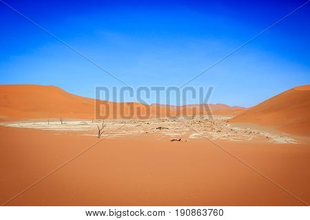 Dead Trees In A Salt Pan In The Deadvlei.