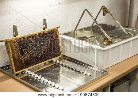 Honeycomb will open unwaxing fork beekeeper uncapped for harvest golden delicious honey closeup