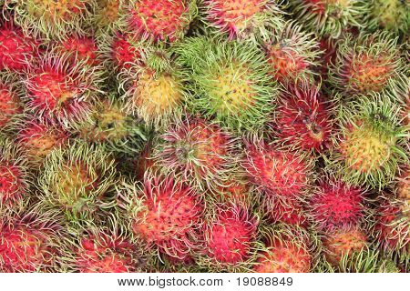 Rambutan