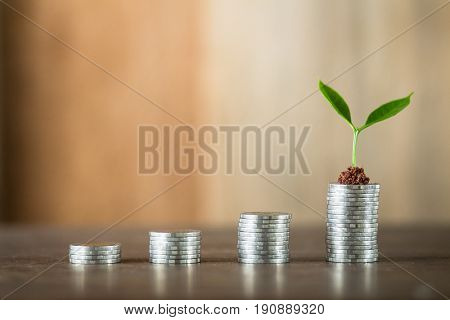 Four piles of money laid on wood, wood background, natural light, finance, interest, increase, four steps