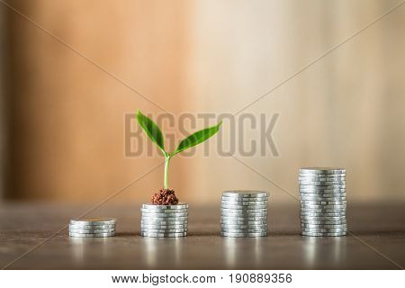 Four piles of money laid on wood, wood background, natural light, finance, interest, increase, four steps