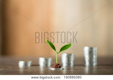 Four piles of money laid on wood, wood background, natural light, finance, interest, increase, four steps