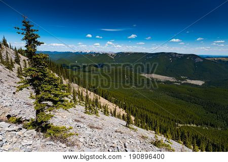 Rocky Mountain Views