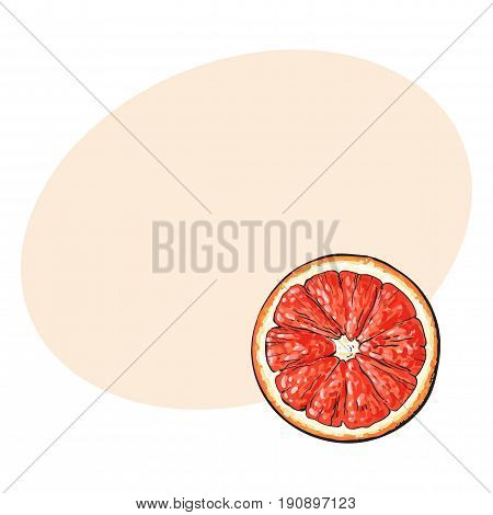 Top view round slice, half of ripe grapefruit, red orange, sketch style vector illustration with space for text. Hand drawn grapefruit cut in half, round slice