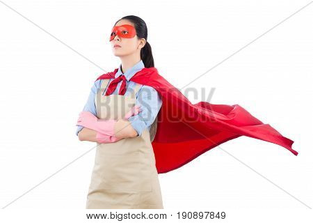 Successful Superhero Housewife Standing