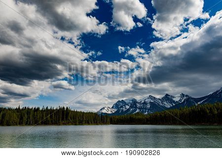 Herbert Lake