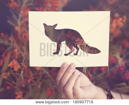Hand Hold Fox Paper Carving with Flower Background