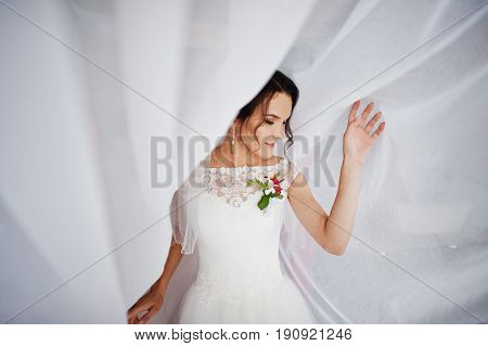 Fantastic Bride Posing With The Tulle For Her Wedding Photo Session. Portrait