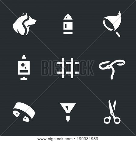 Dog, bullet, net, syringe, cage, lasso, collar, dart, scissors.