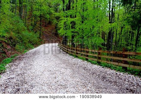 Road ro poiana Brasov. Brasov is a town situated in Transylvania, Romania, in the center of the country. 300.000 inhabitants. Poiana Brasov 12 km near Brasov is a touristic and winter station