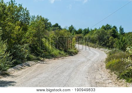 Dirt Road Turning Left