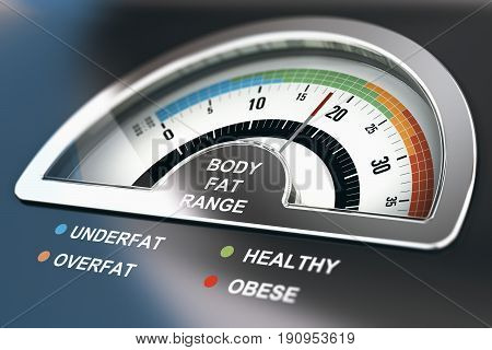 Body fat range calculator with the words underfat healthy overfat and obese. 3D illustration.